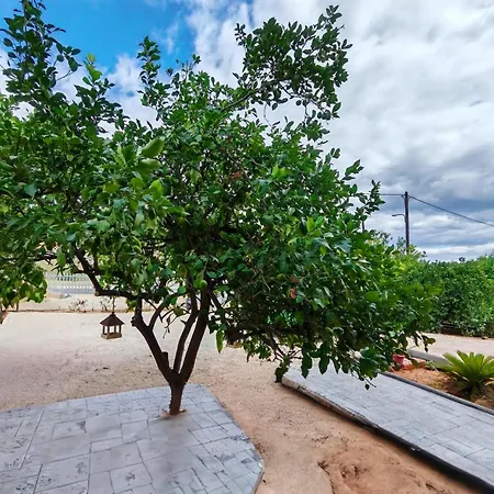 Appartement Cyclopean View *