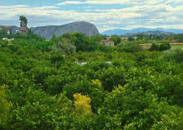 Cyclopean View